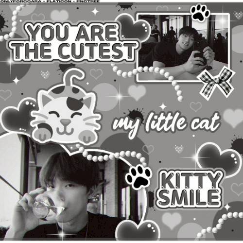 Latest photo of Dino (SEVENTEEN)