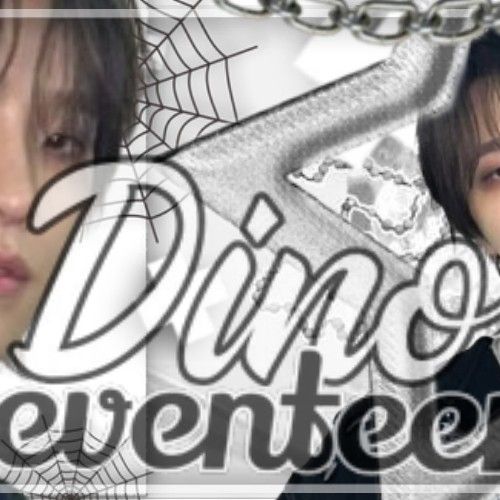 A moment captured by Dino (SEVENTEEN)'s fan