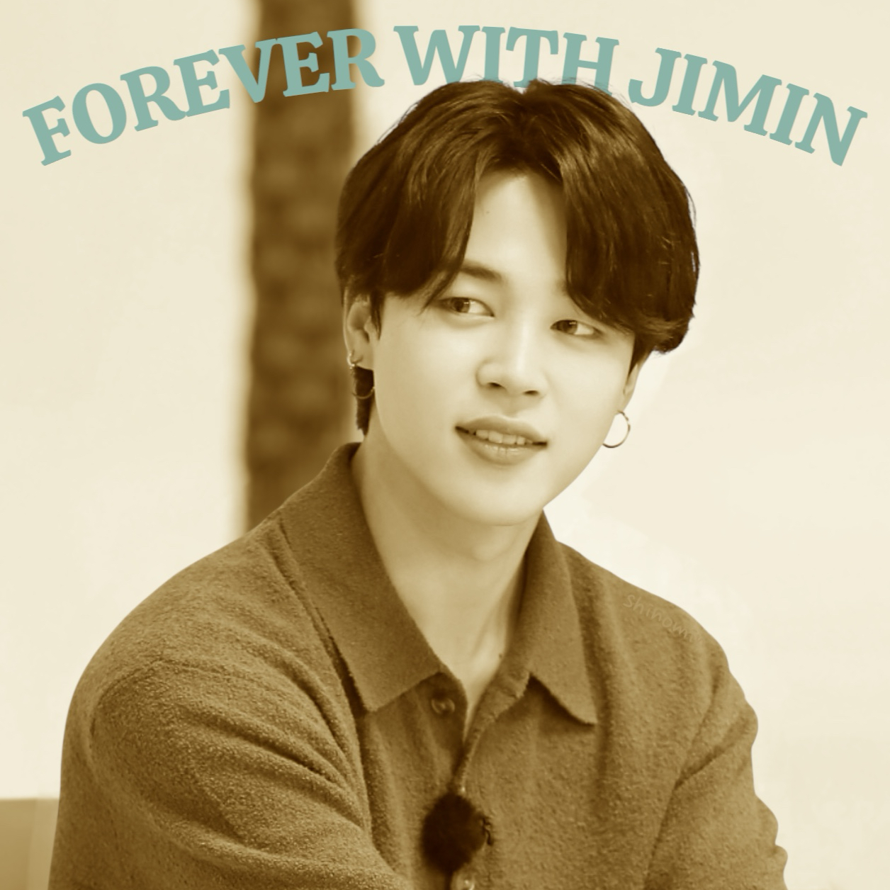 A moment captured by Jimin (BTS)'s fan