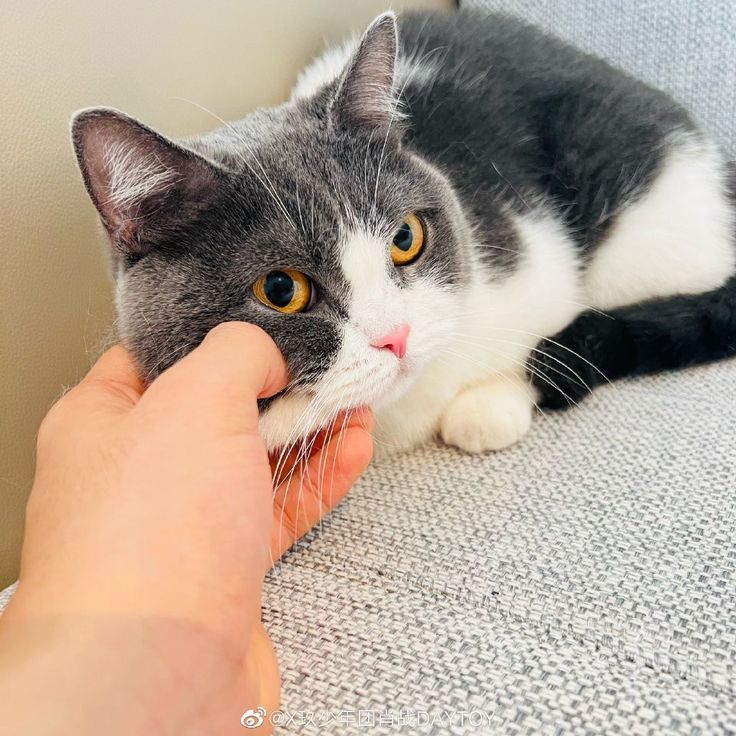 Foto aktivitas terbaru Xiao Zhan