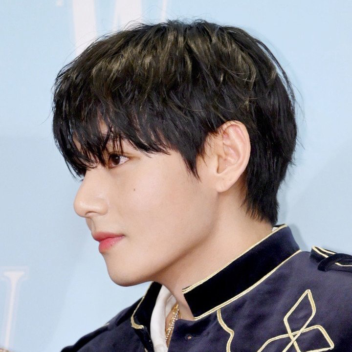 Behind-the-scenes cut of V (BTS)