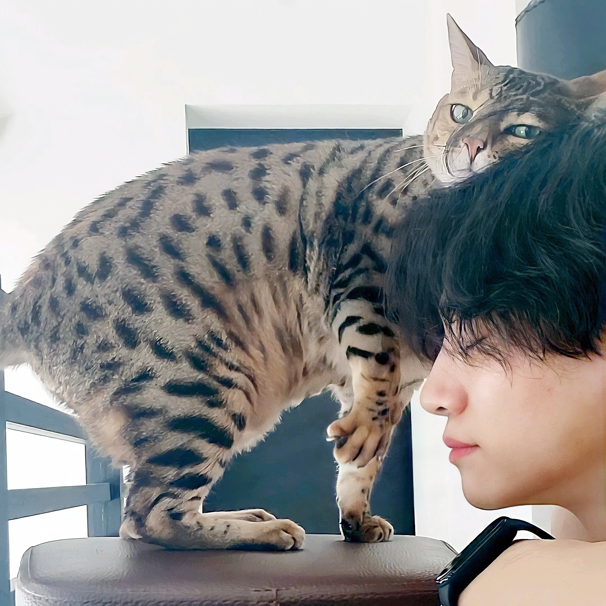 Recent activity shot of Junho (2PM)