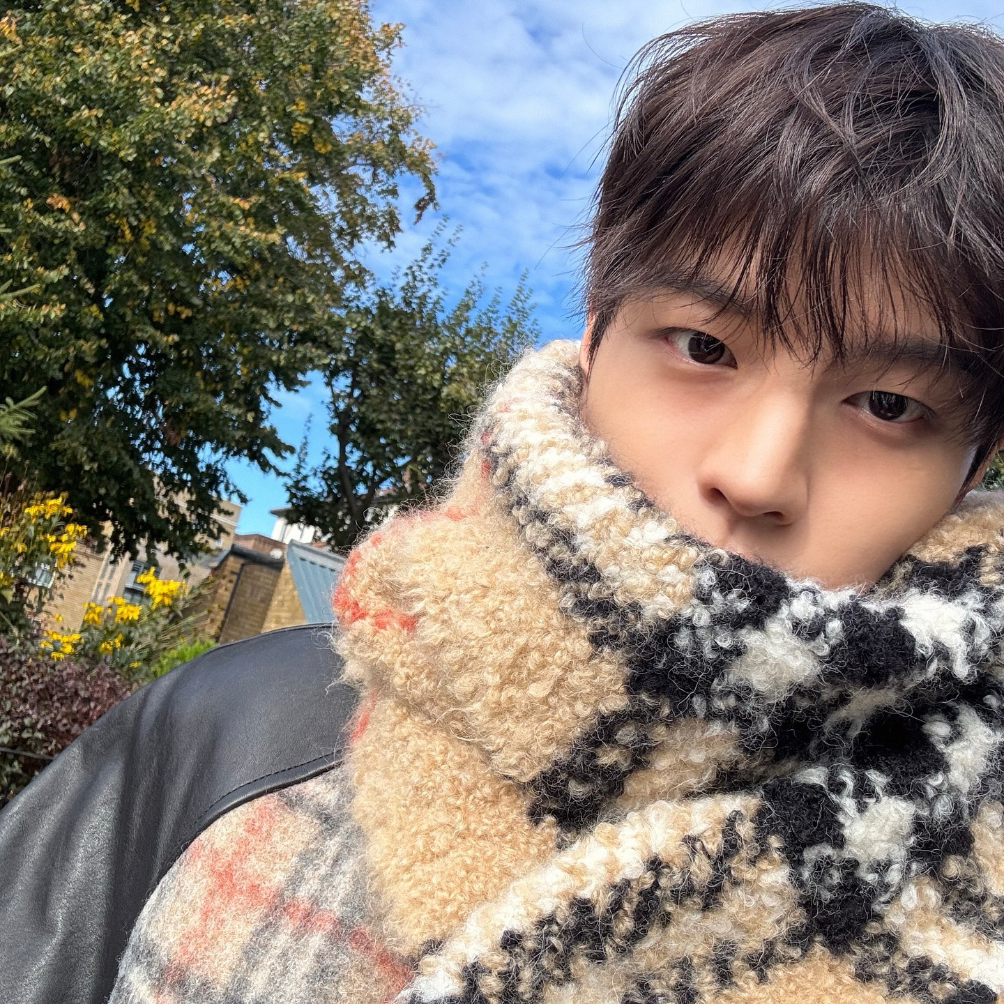 Latest photo of Stray Kids