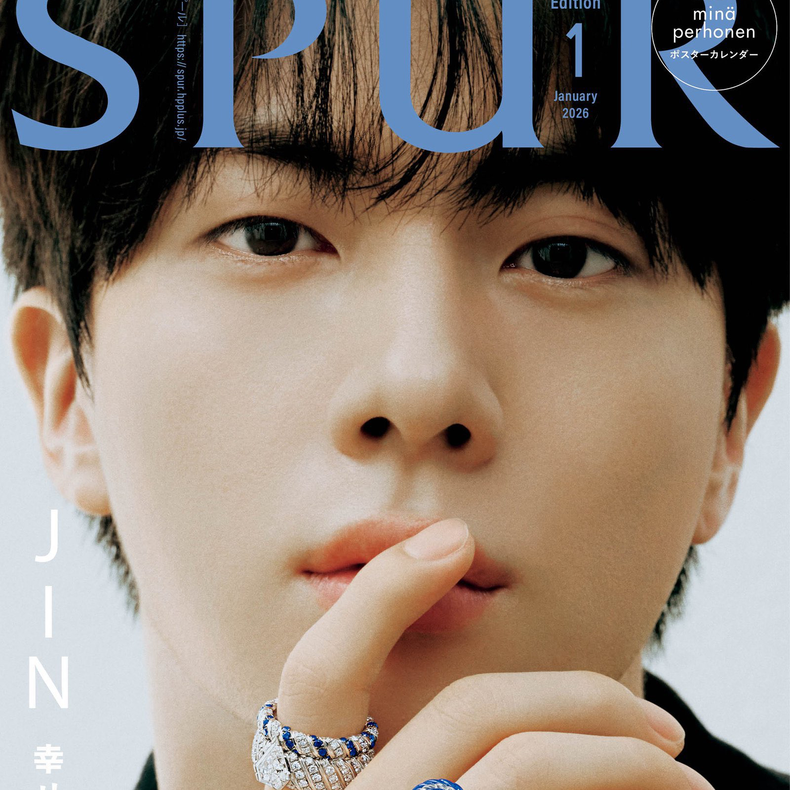 A moment captured by Jin (BTS)'s fan