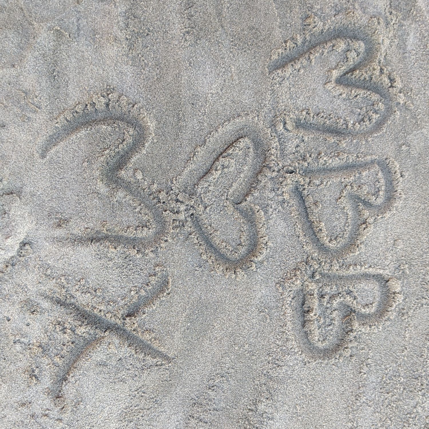 Foto terbaru MONSTA X