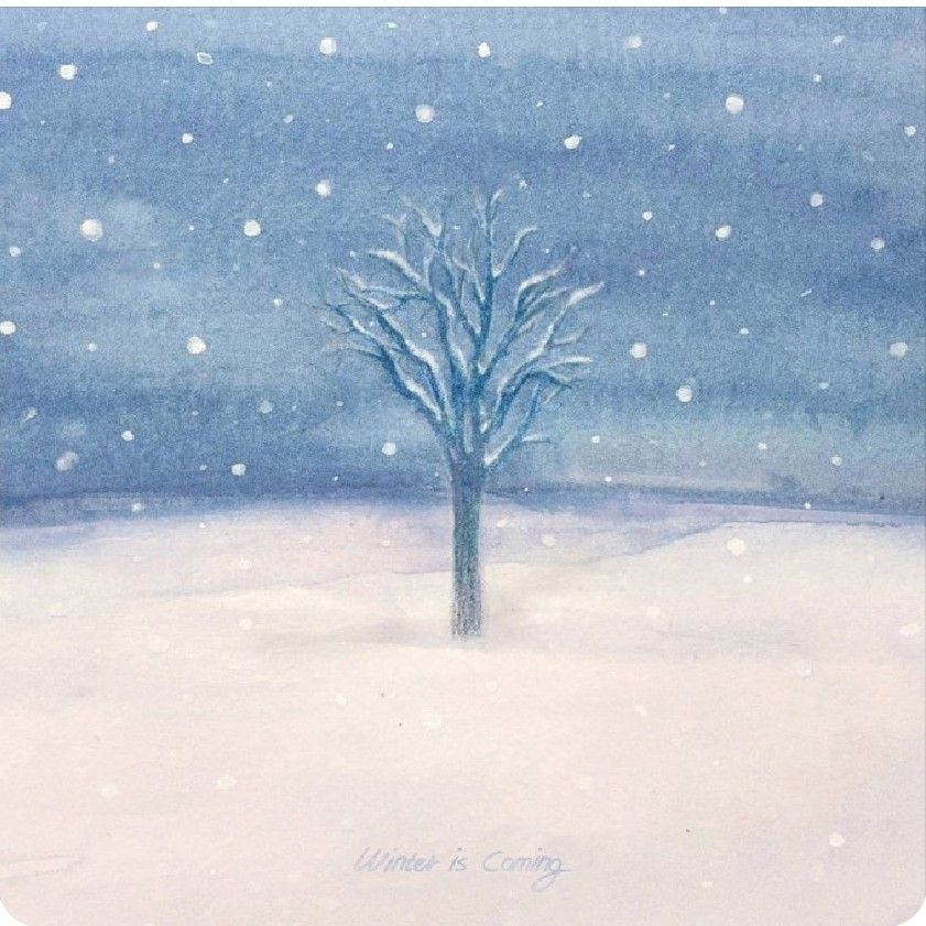 スホ (EXO)の最新写真