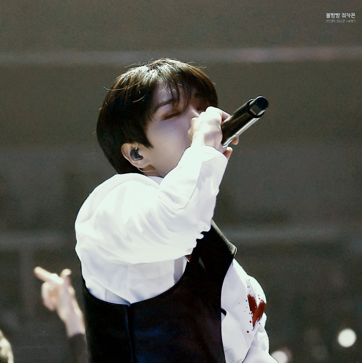 A moment captured by HAN (Stray Kids)'s fan
