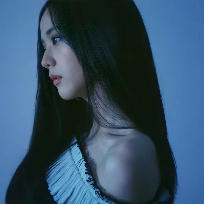 A moment captured by Jisoo (BLACKPINK)'s fan