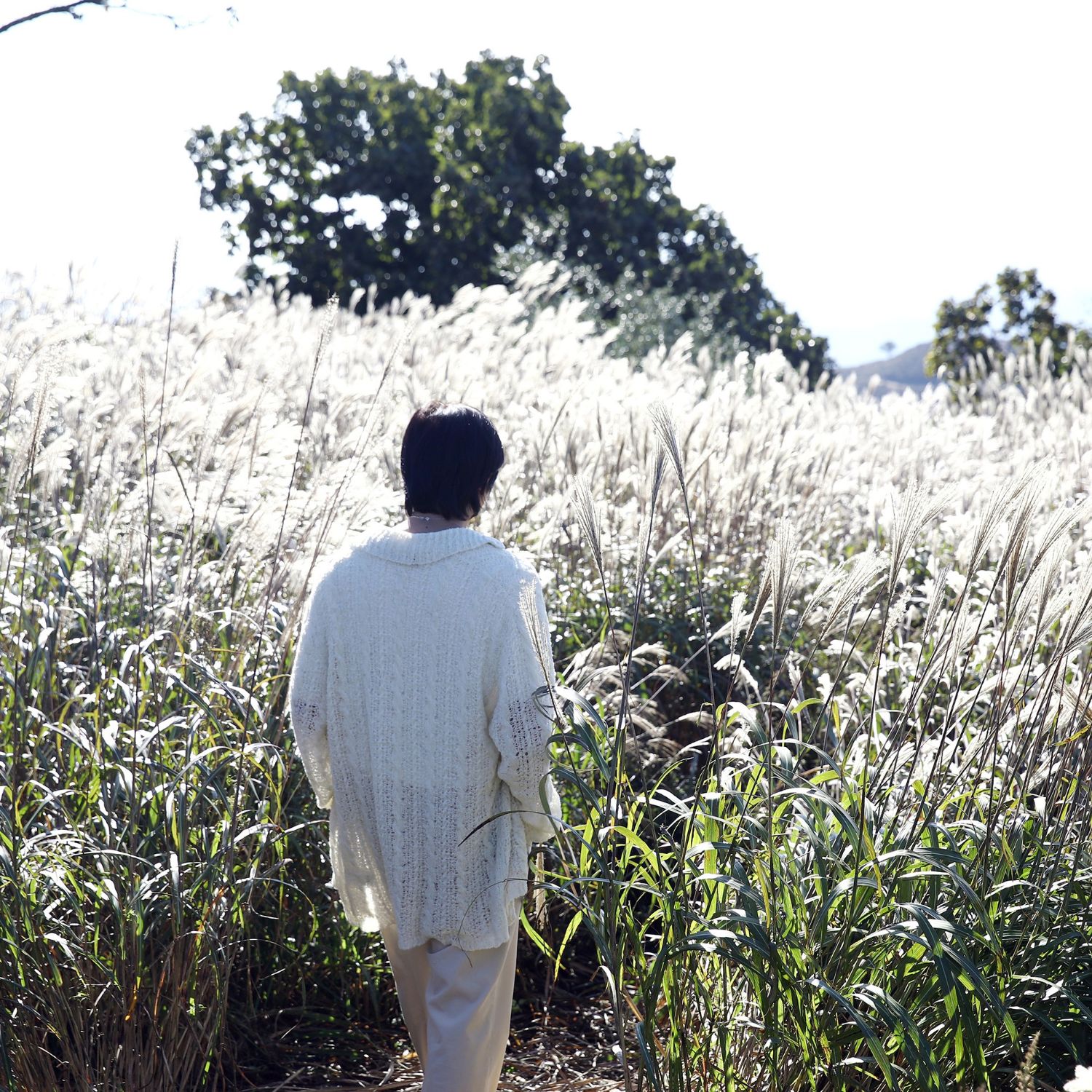 Behind-the-scenes cut of RM (BTS)