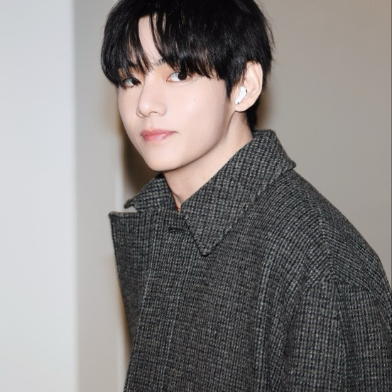 Potret di balik layar V (BTS)