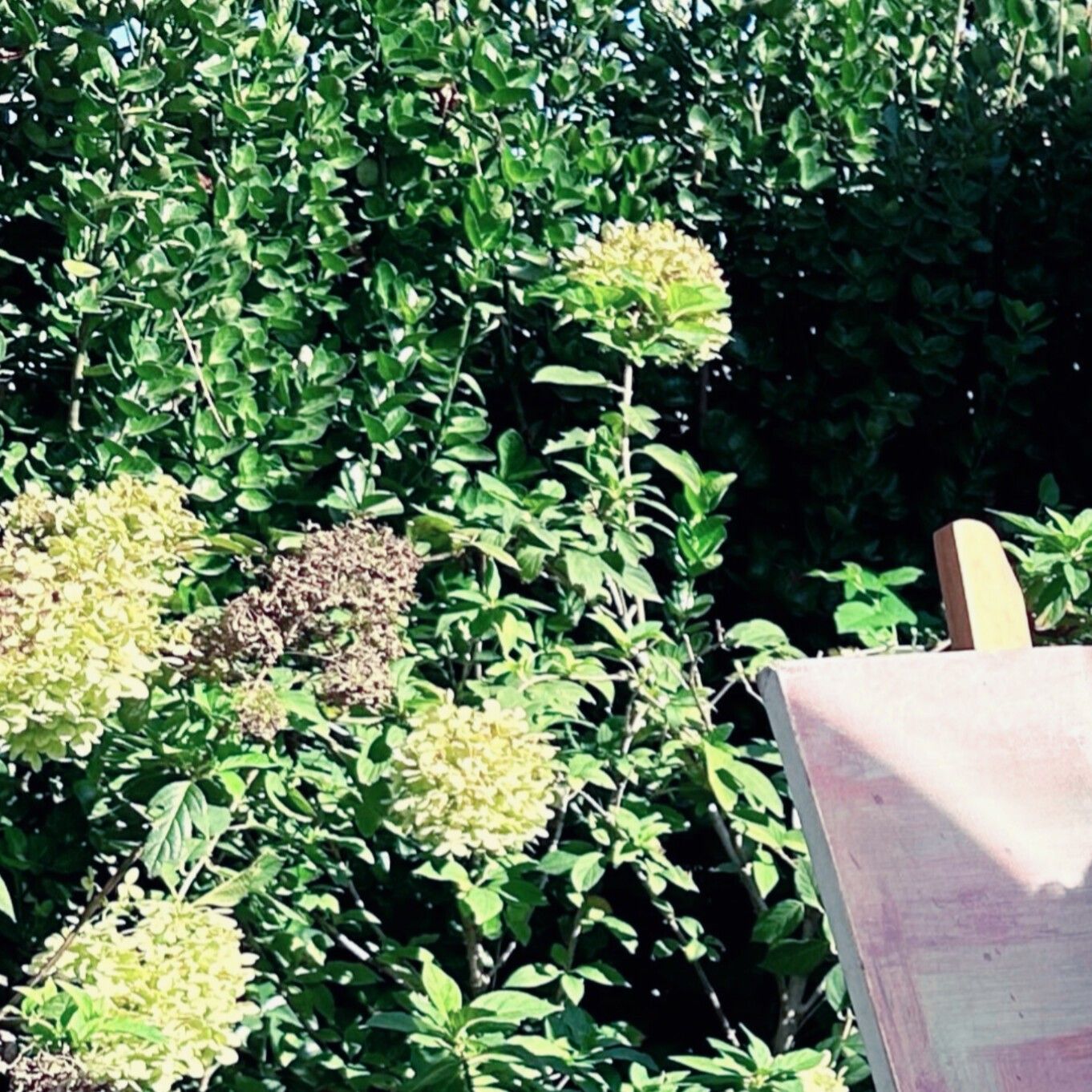 李垠尚 (YOUNITE)的幕后花絮