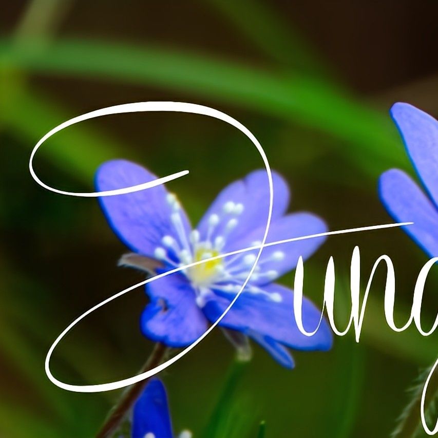 Recent activity shot of Wooseok (PENTAGON)