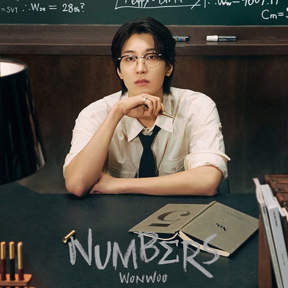 Recent activity shot of Wonwoo (SEVENTEEN)