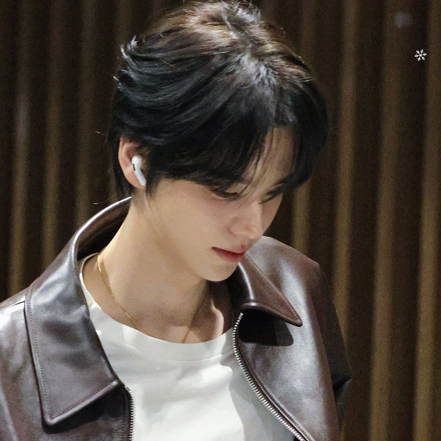 シニュ (TWS)ファンが撮った瞬間