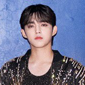 S.Coups (SEVENTEEN)粉丝拍下的瞬间