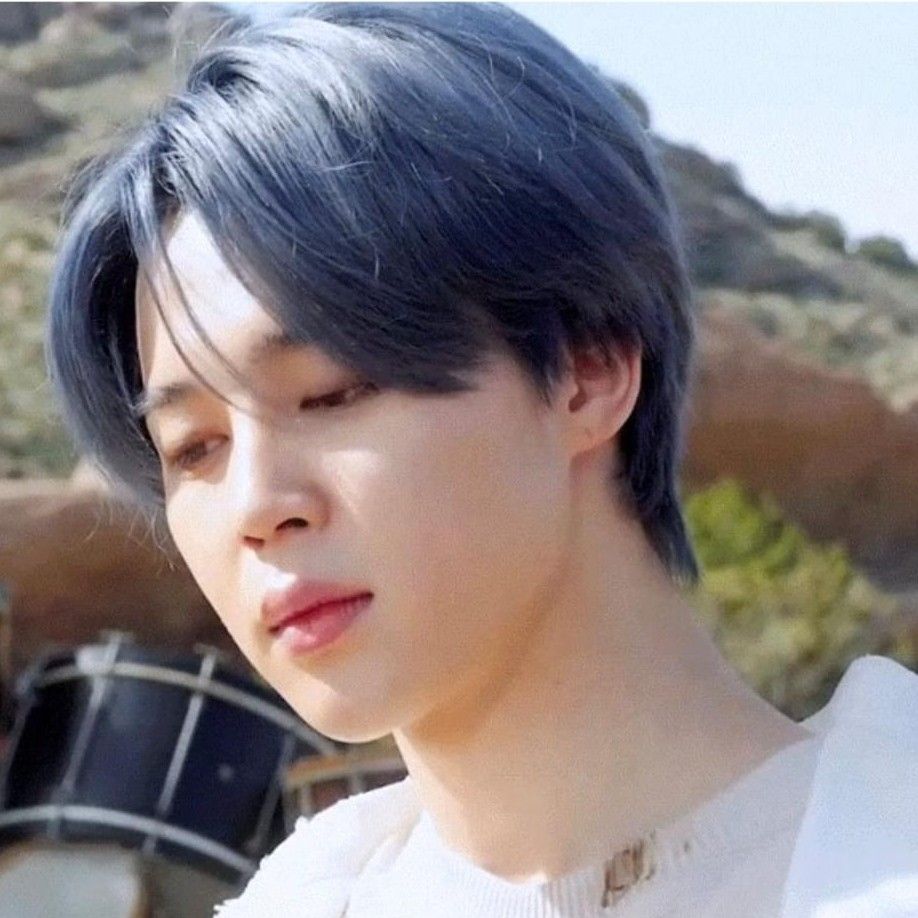 A moment captured by Jimin (BTS)'s fan