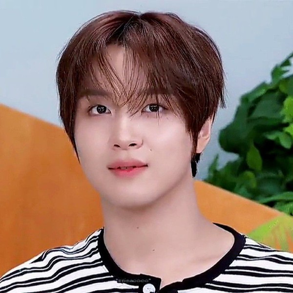 【セット】NCT127 ヘチャン　　ペンミ NCTヘチャン、NCT DREAMファンミ当日に欠席発表 肩・背中に痛み