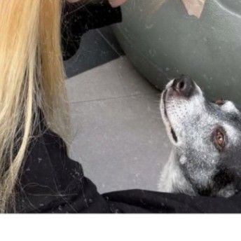 Behind-the-scenes cut of SU A (DREAMCATCHER)