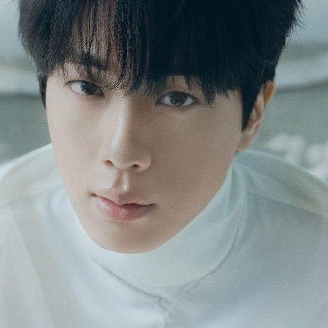 진 (방탄소년단) 팬이 찍은 순간