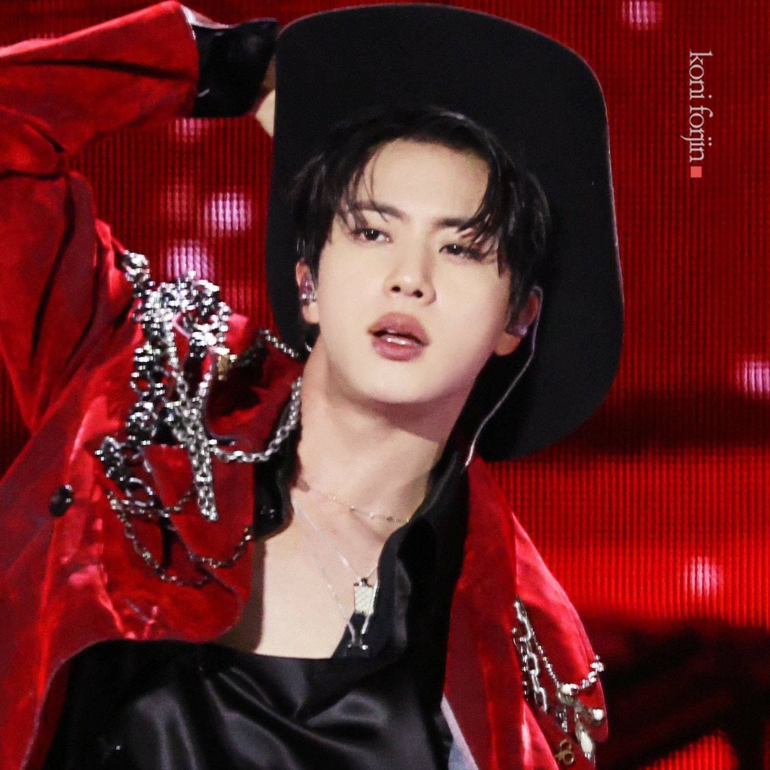 진 (방탄소년단) 팬이 찍은 순간