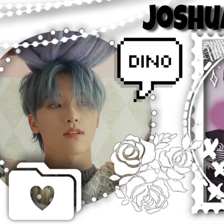 ディノ (SEVENTEEN)ファンが撮った瞬間