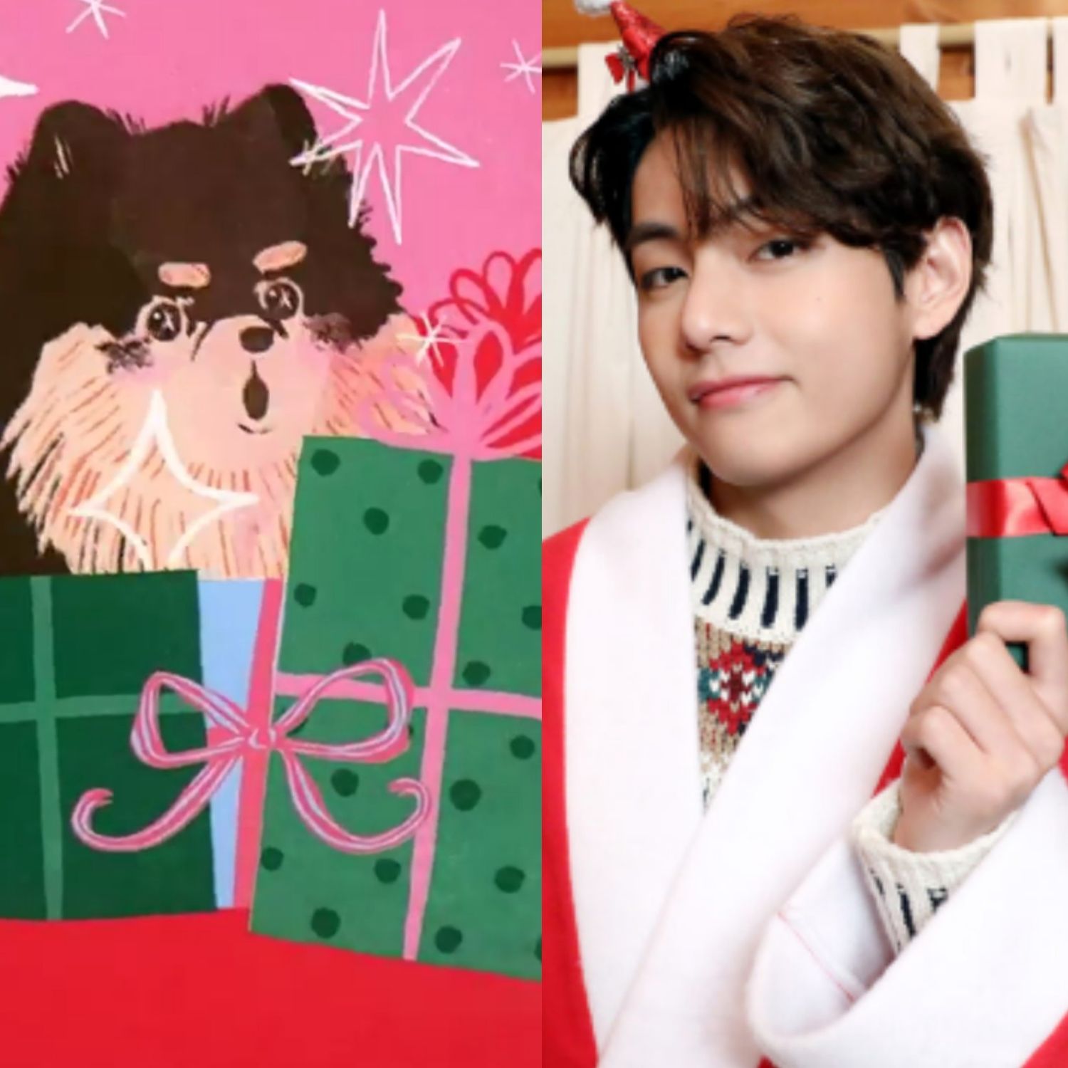 V (防彈少年團)粉絲拍下的瞬間