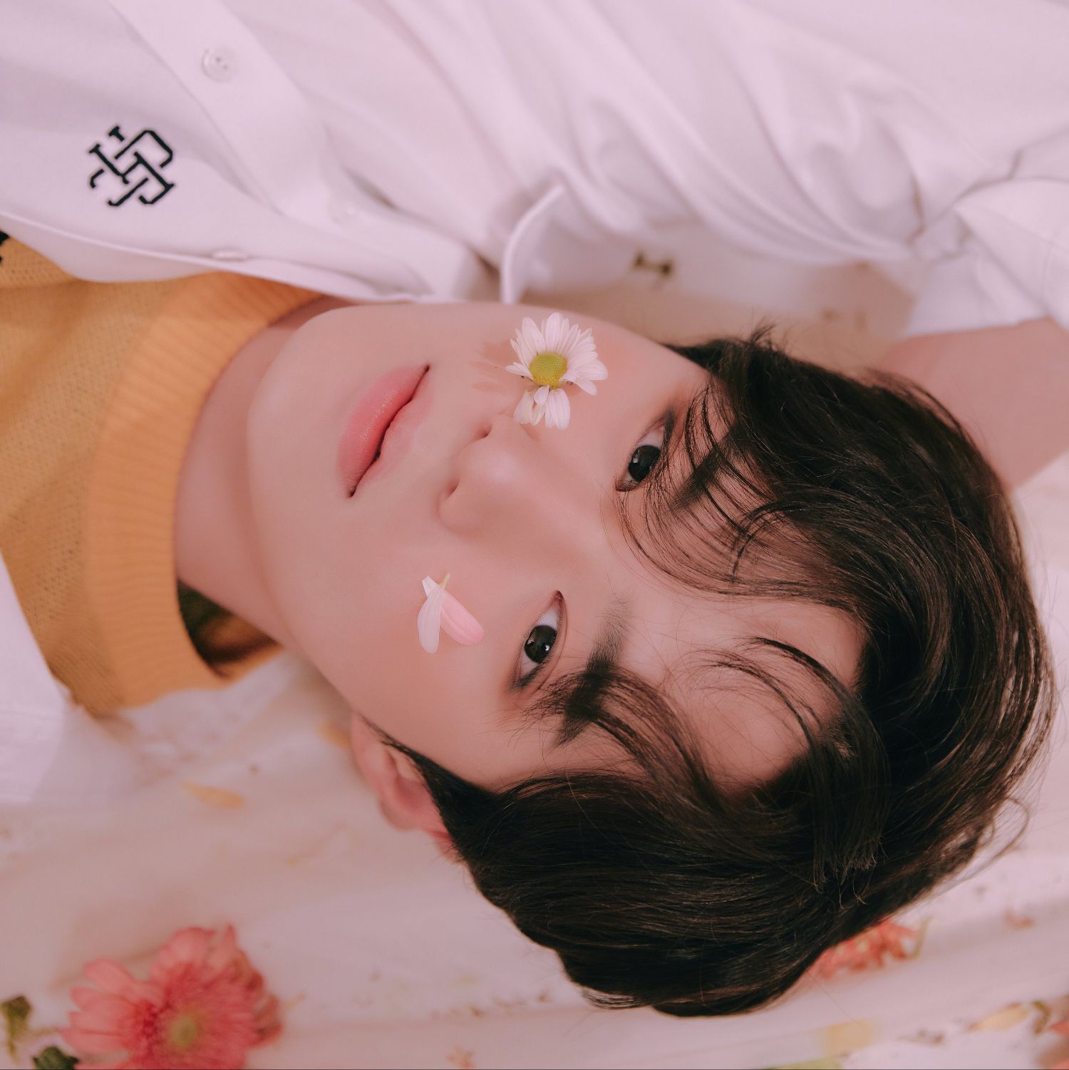 A moment captured by Kim Junseo (ALPHA DRIVE ONE)'s fan