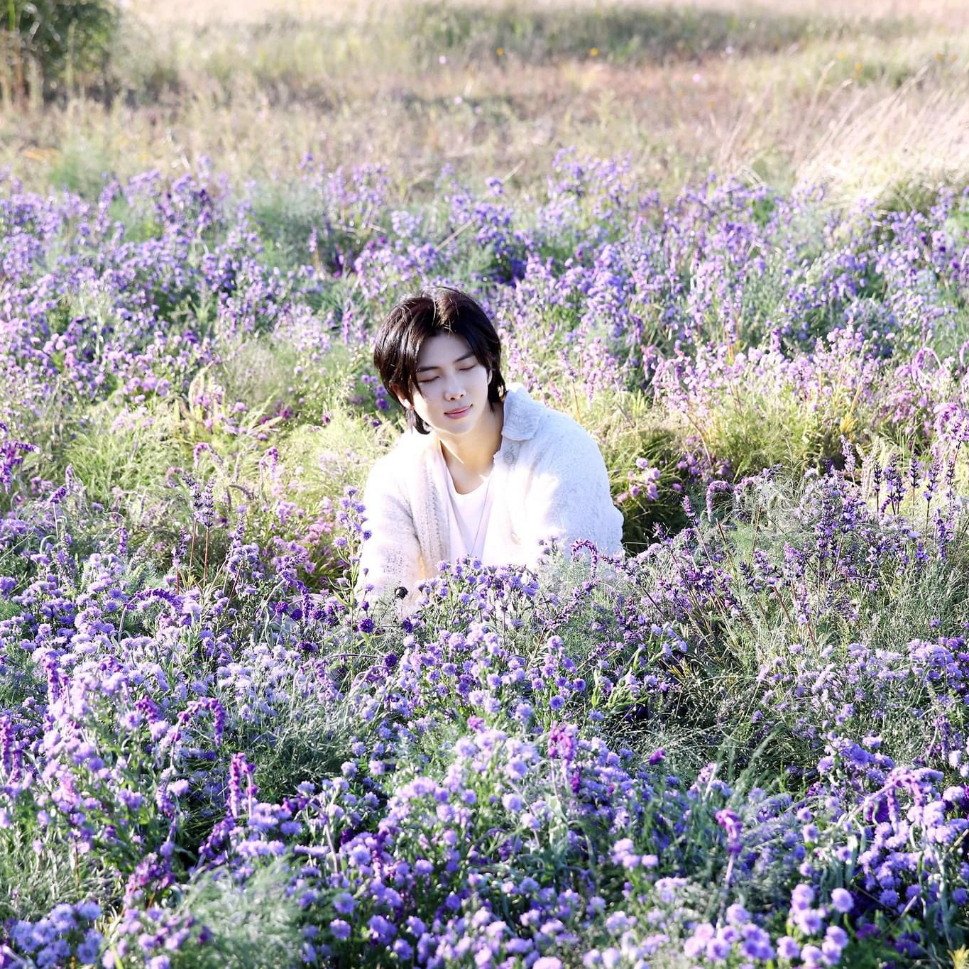 Behind-the-scenes cut of RM (BTS)