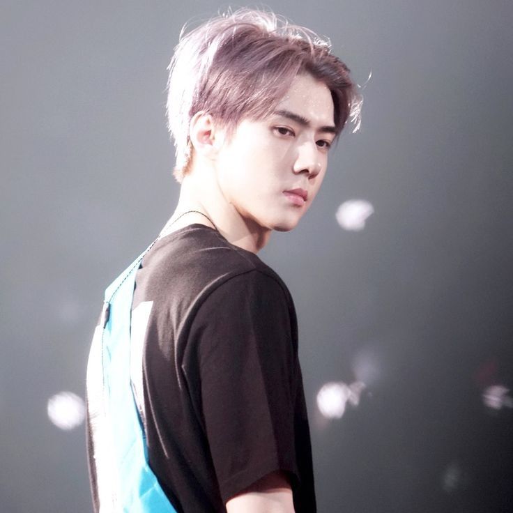 Recent activity shot of Sehun (EXO)