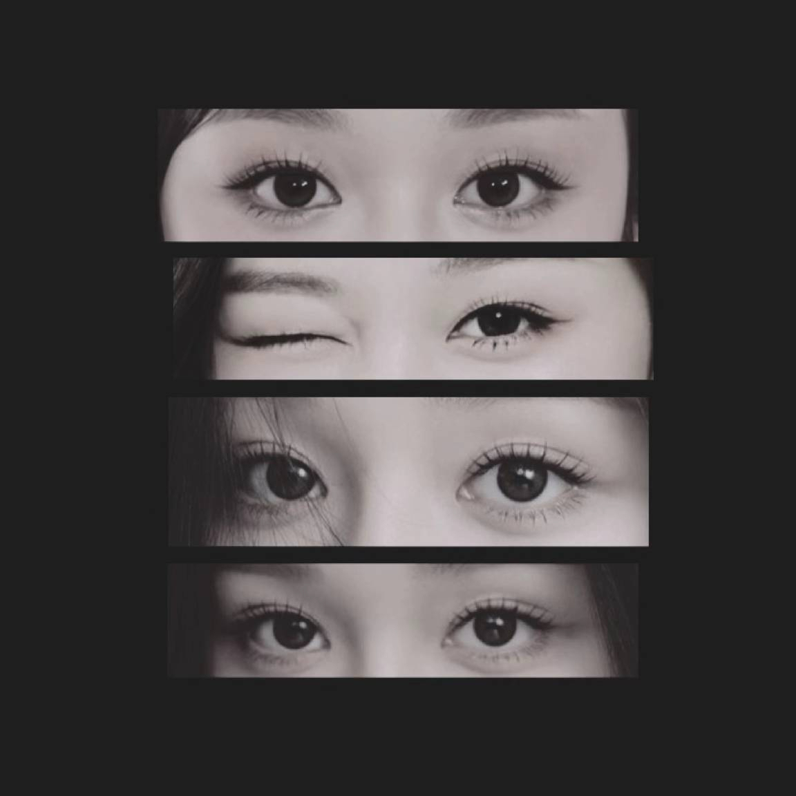 A moment captured by Pharita (BABYMONSTER)'s fan