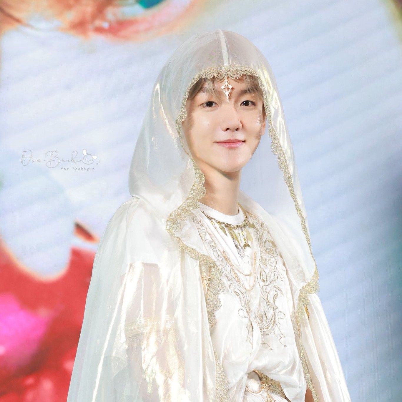 백현 (EXO) 팬이 찍은 순간