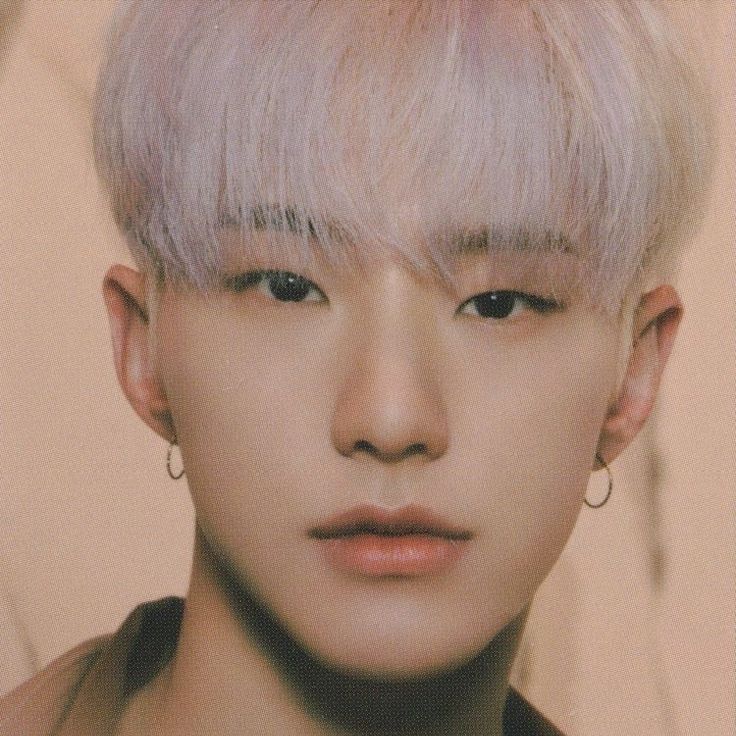 A moment captured by Hoshi (SEVENTEEN)'s fan