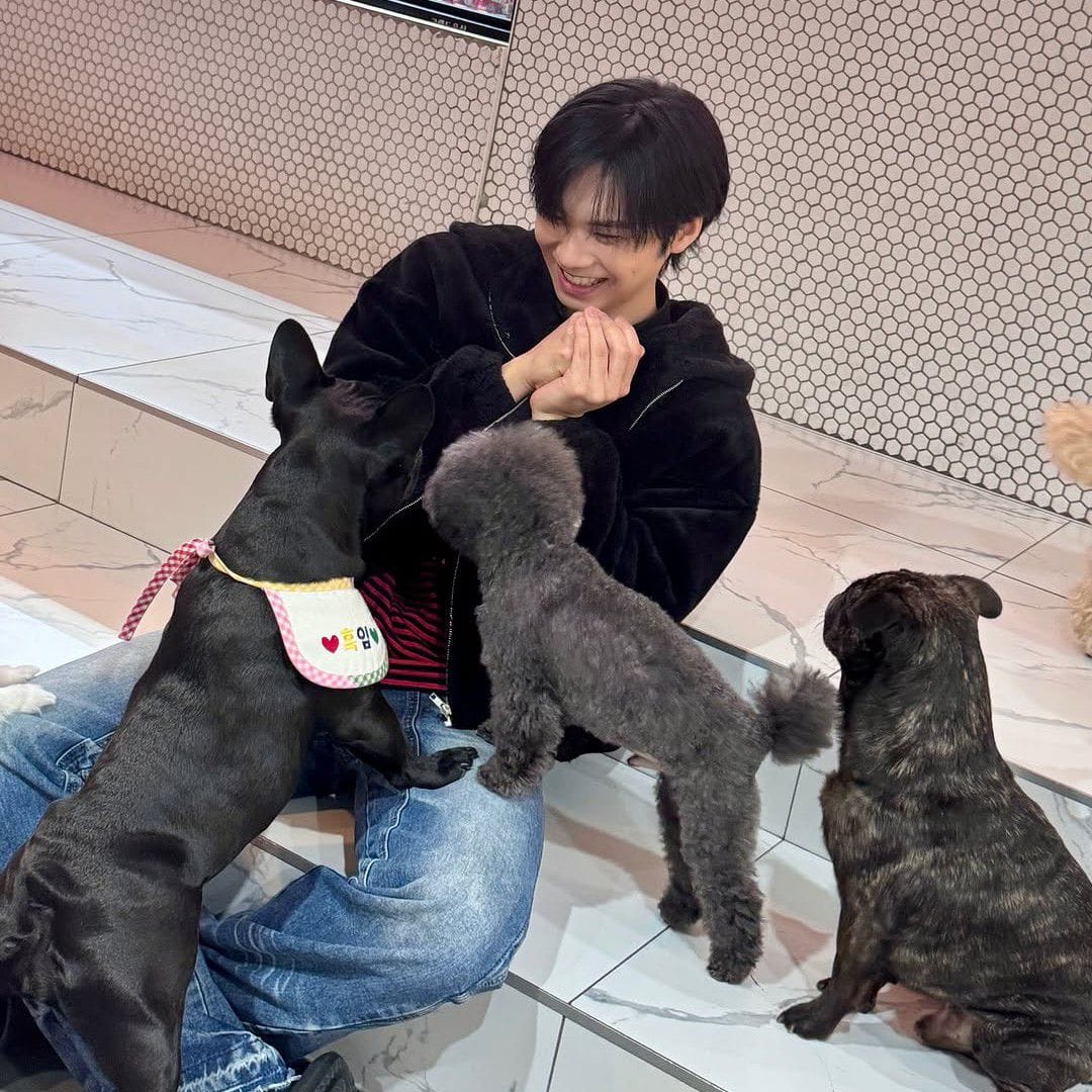 Latest photo of Rocky