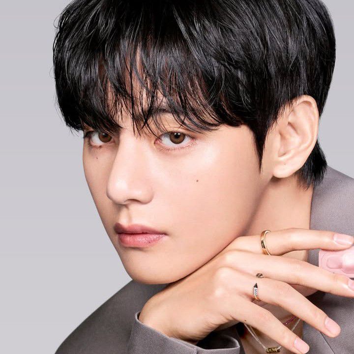 Behind-the-scenes cut of V (BTS)