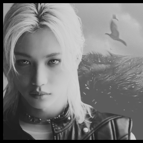 Stray Kids フィリックス ファンダムコミュニティ │ KPOP人気No