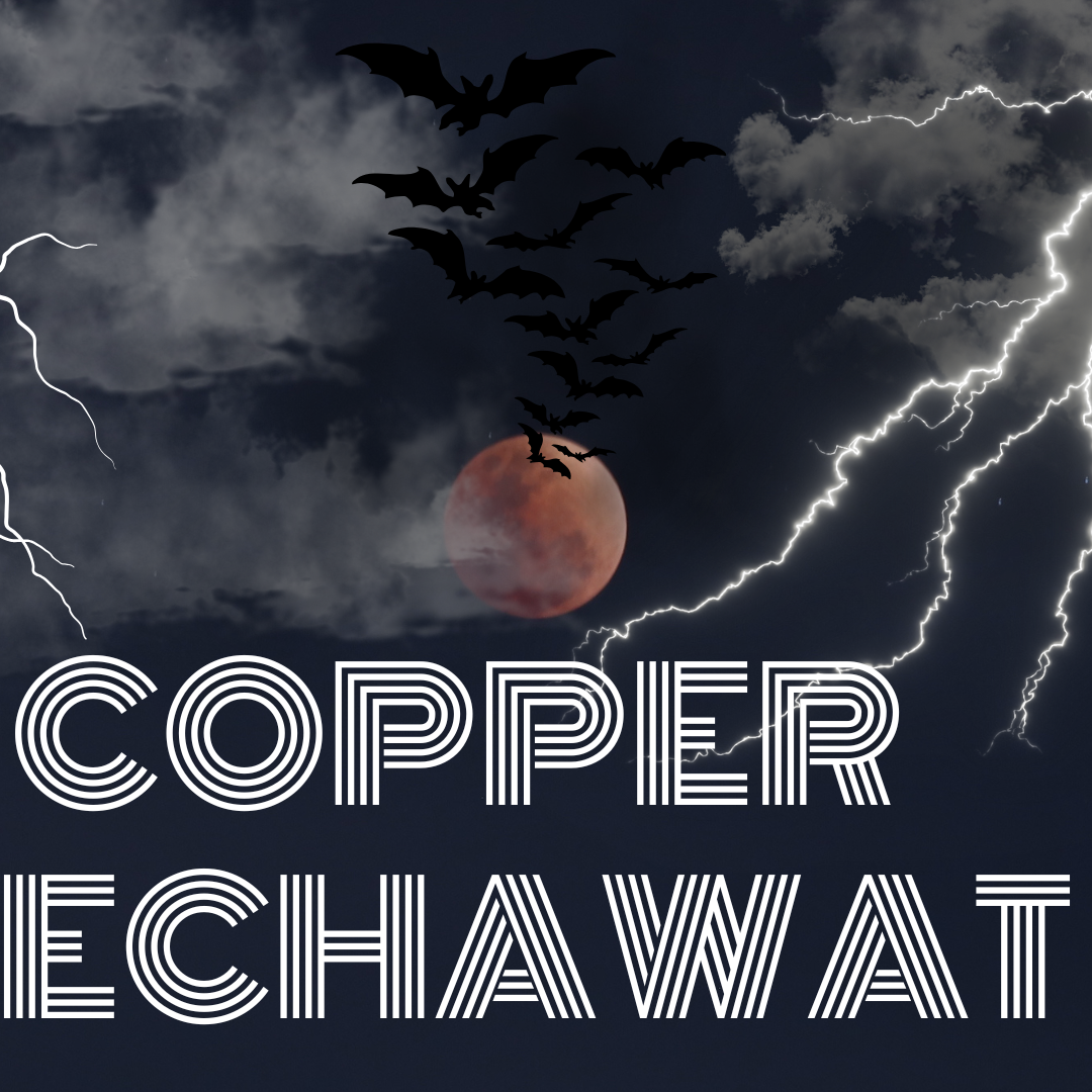 A moment captured by Copper (BUS)'s fan