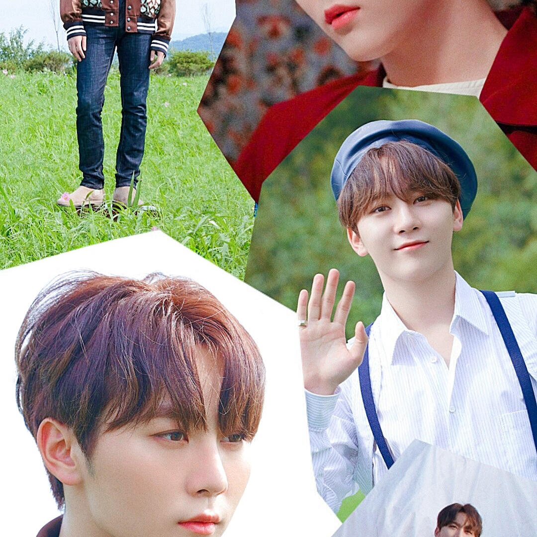 세븐틴 최근 활동샷