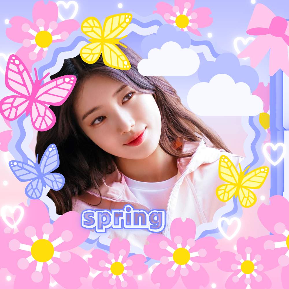 수지 팬이 찍은 순간
