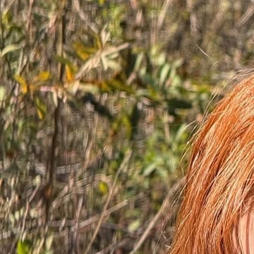 Behind-the-scenes cut of Jeong Yein (Lovelyz)