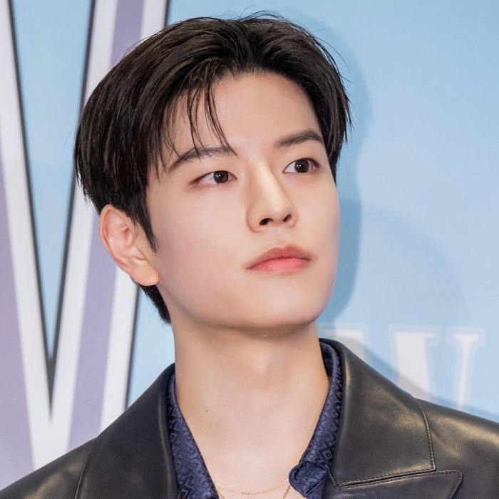 Recent activity shot of Seungmin (Stray Kids)