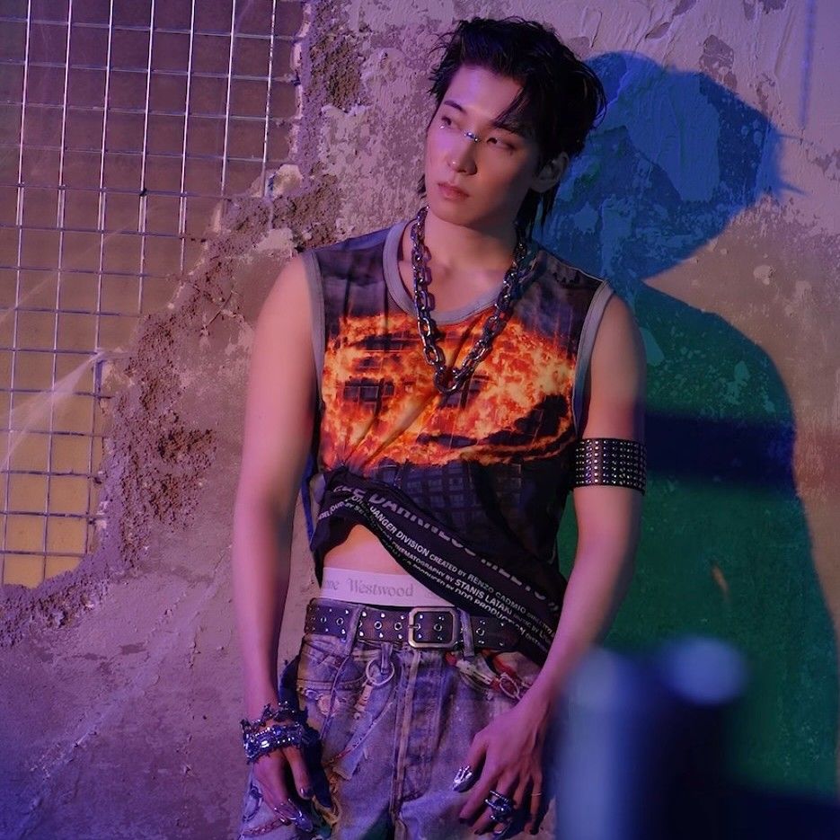 Recent activity shot of Wonwoo (SEVENTEEN)