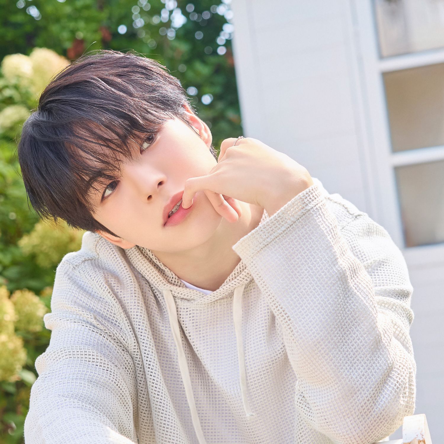 TREASUREの最近の活動写真