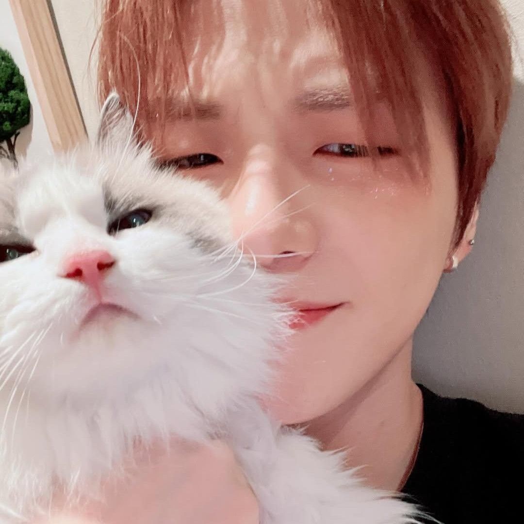 Behind-the-scenes cut of Kang Daniel