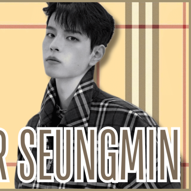 A moment captured by Seungmin (Stray Kids)'s fan