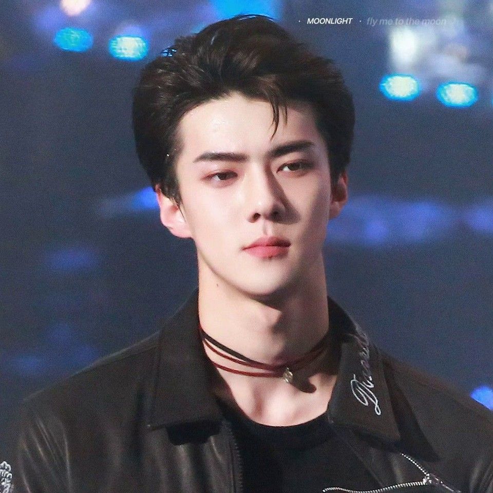 EXO 팬이 찍은 순간