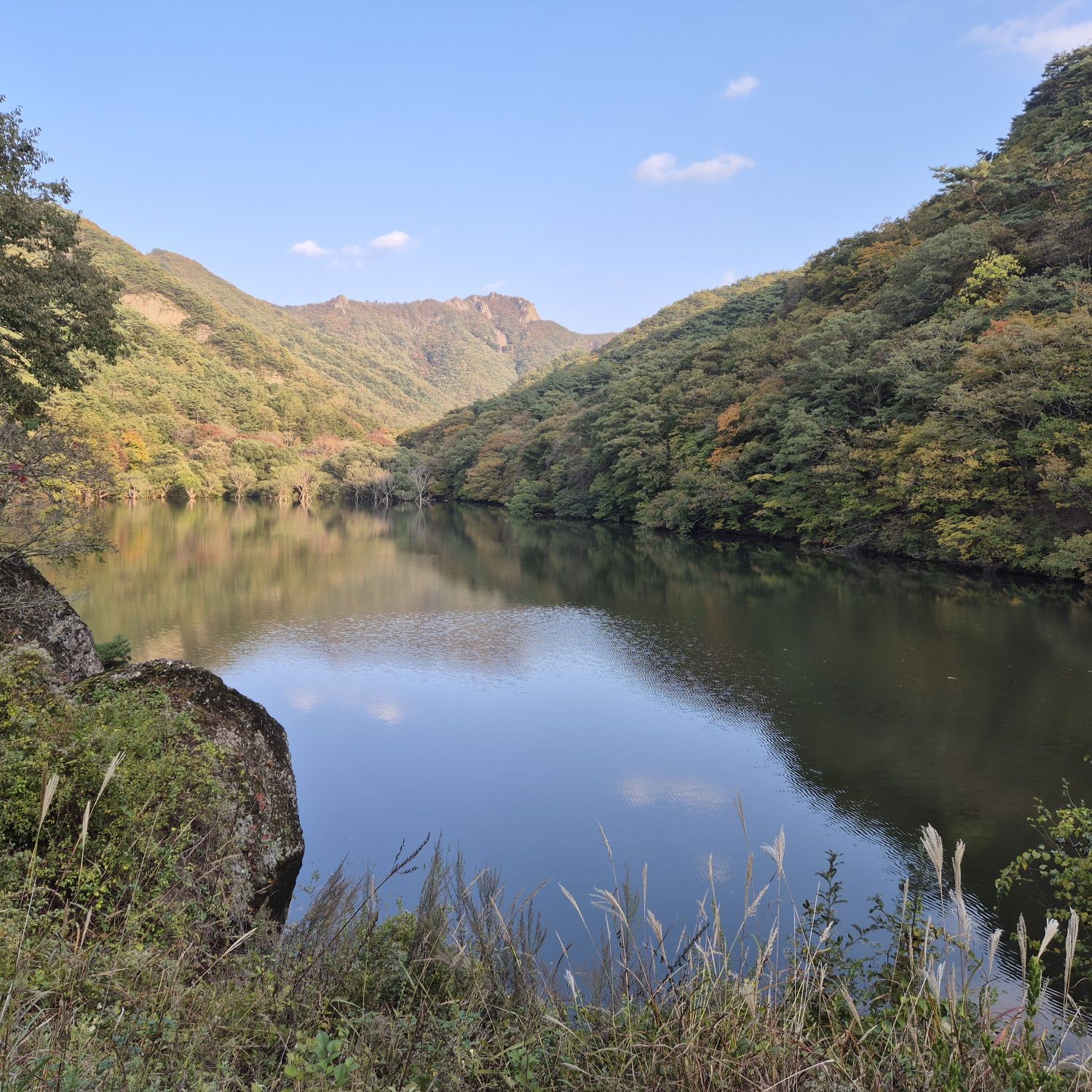 Recent activity shot of WOODZ