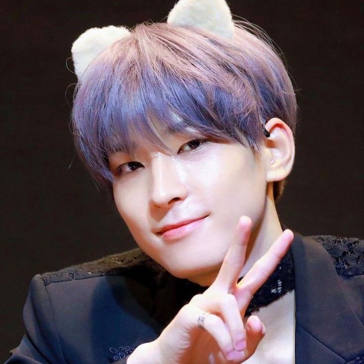Recent activity shot of Wonwoo (SEVENTEEN)