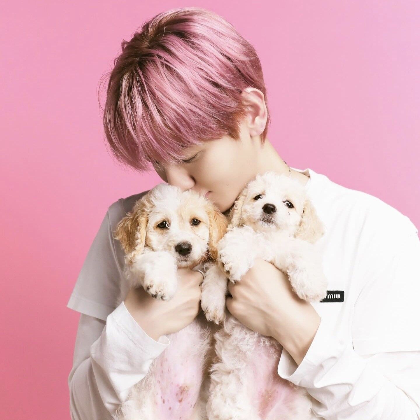 A moment captured by Baekhyun (EXO)'s fan
