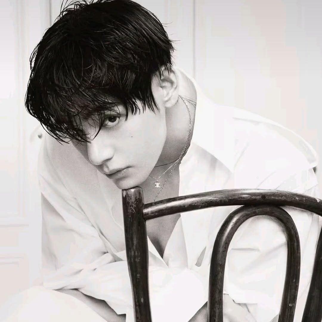 V (防彈少年團)粉絲拍下的瞬間