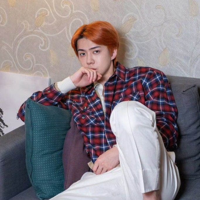 Recent activity shot of Sehun (EXO)